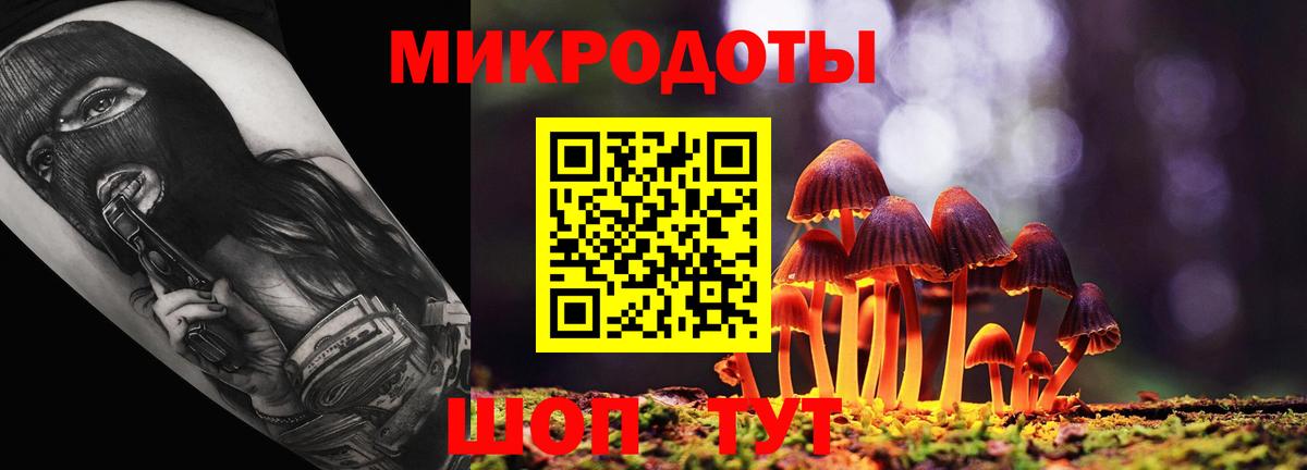 Галлюциногенные грибы мухоморы Ефремов